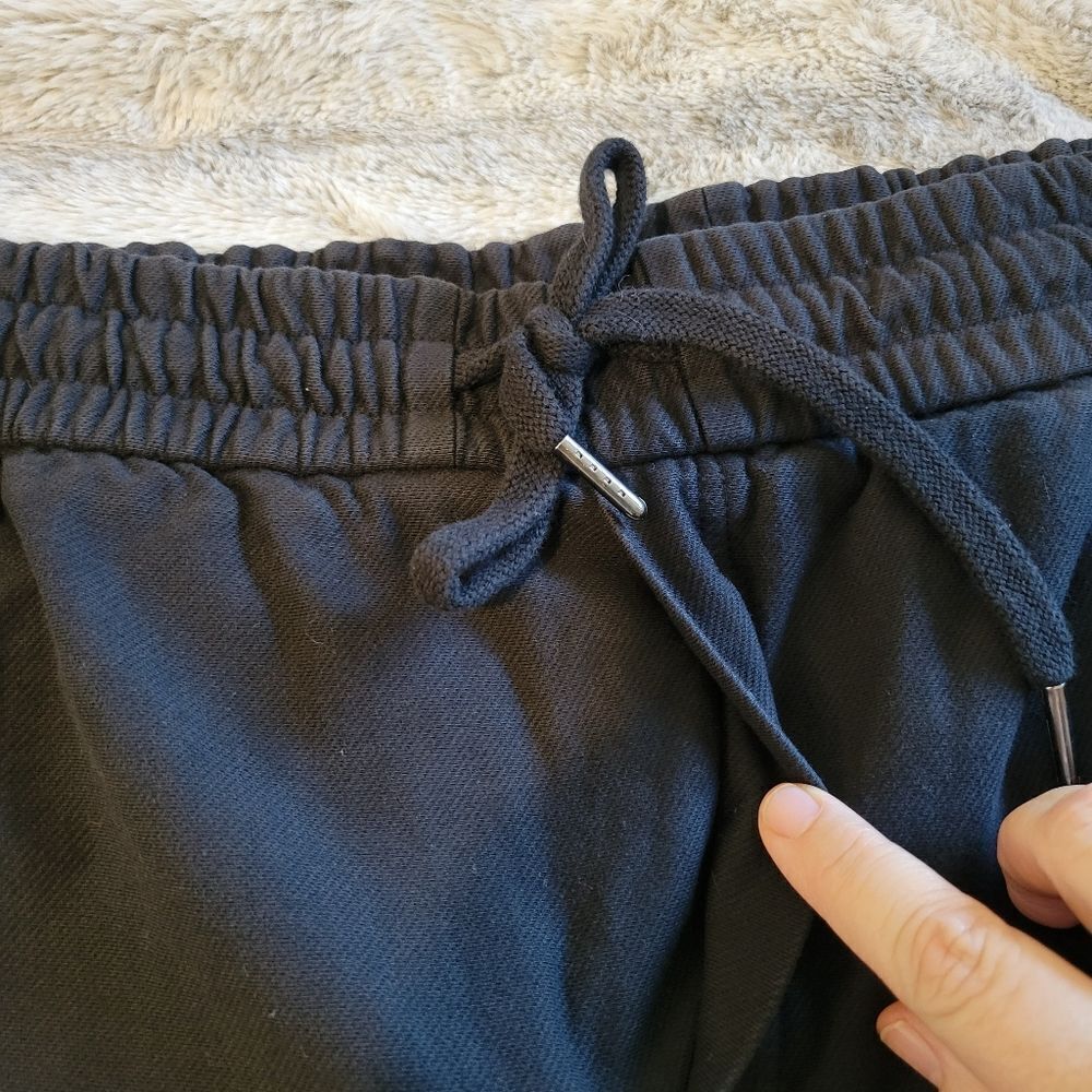 Athleta Plus Size Farallon Jogger Pants, Size 26 - Picture 5 of 13